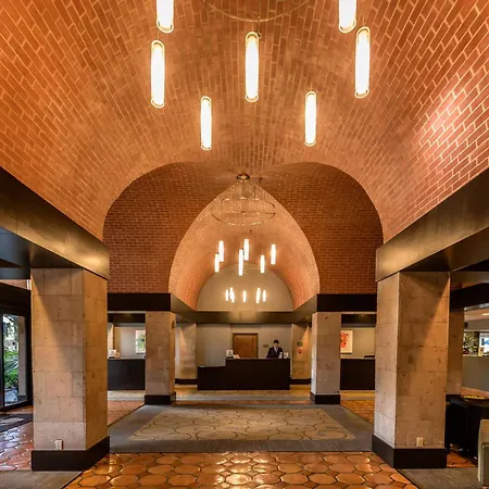 Doubletree By Hilton Mcallen-2